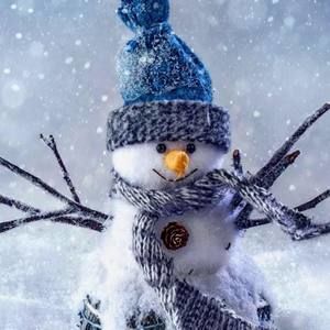 Meet your Posher, Rossana