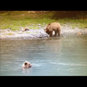 Meet your Posher, Sharin