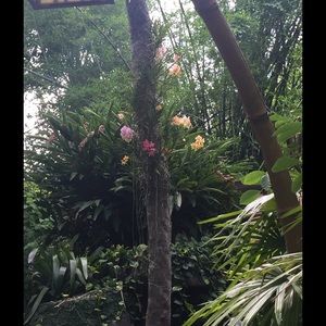 Meet your Posher, Pamela