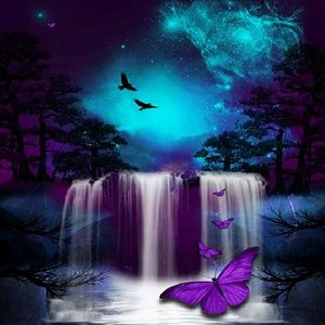 Meet your Posher, Renee