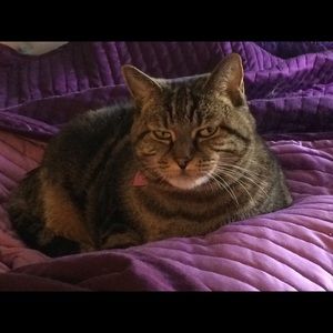 Meet your Posher, Jeanne-marie