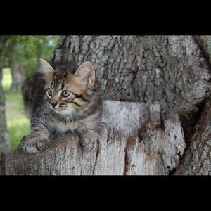 Meet your Posher, Rima