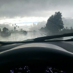 Meet your Posher, Janice