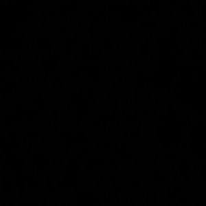 Meet your Posher, Jocelyn