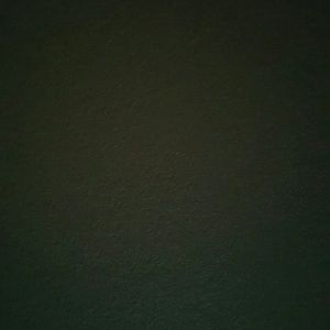 Meet your Posher, Yesenia