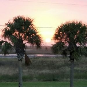 Meet your Posher, Ellen