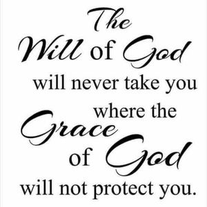 Meet your Posher, Shelly