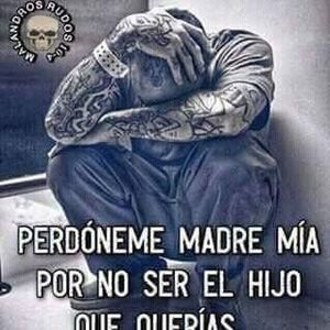 Meet your Posher, Paco