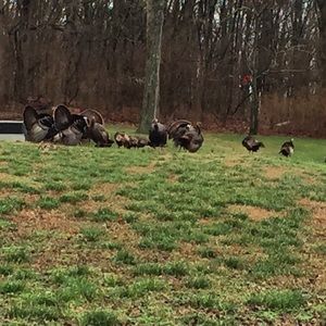 Meet your Posher, Tanya