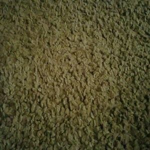 Meet your Posher, Jermel