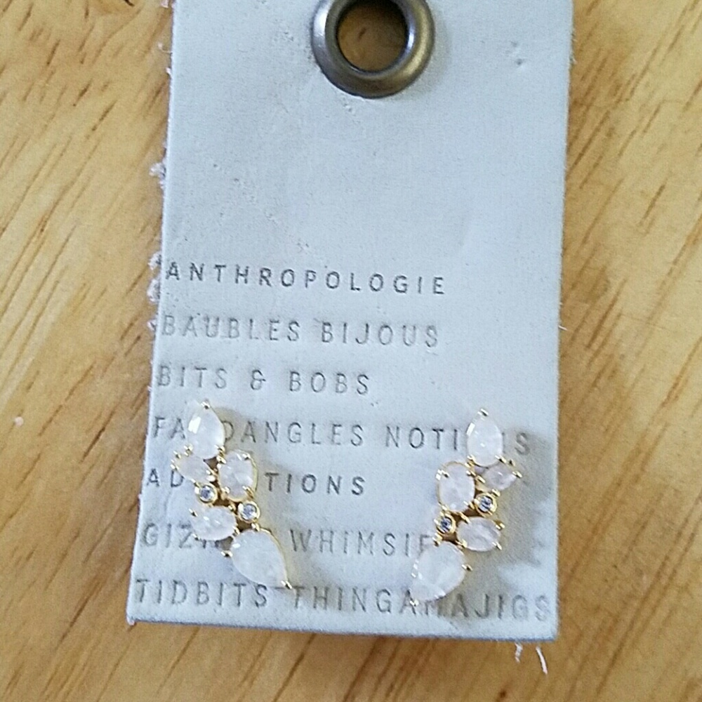 Anthropologie earrings - Picture 1 of 2