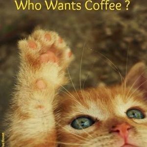 Meet your Posher, Debi