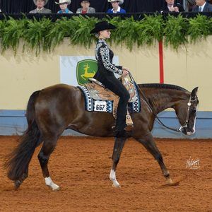 Meet your Posher, Tori