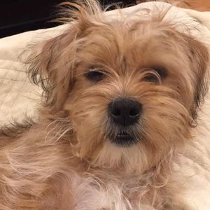 Meet your Posher, Jan