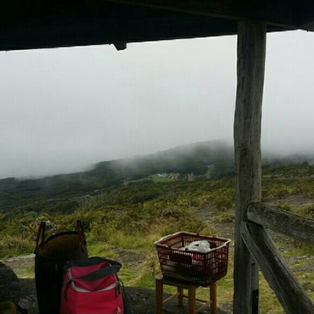 Meet your Posher, Aisha