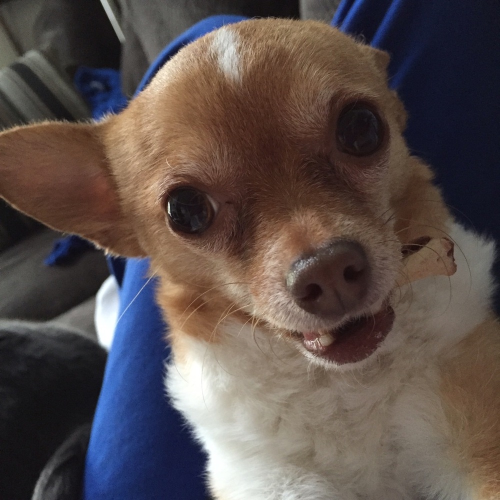 Meet your Posher, Kelly