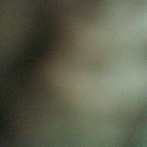 Meet your Posher, Karry