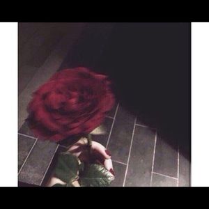 Meet your Posher, Zulaykho