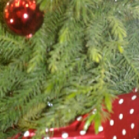 Meet your Posher, Pxridise - Picture 1 of 1