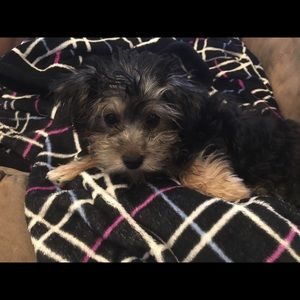 Meet your Posher, Michaela