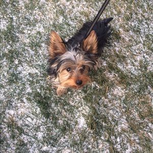 Meet your Posher, Marisa