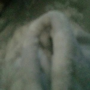 Meet your Posher, Renae