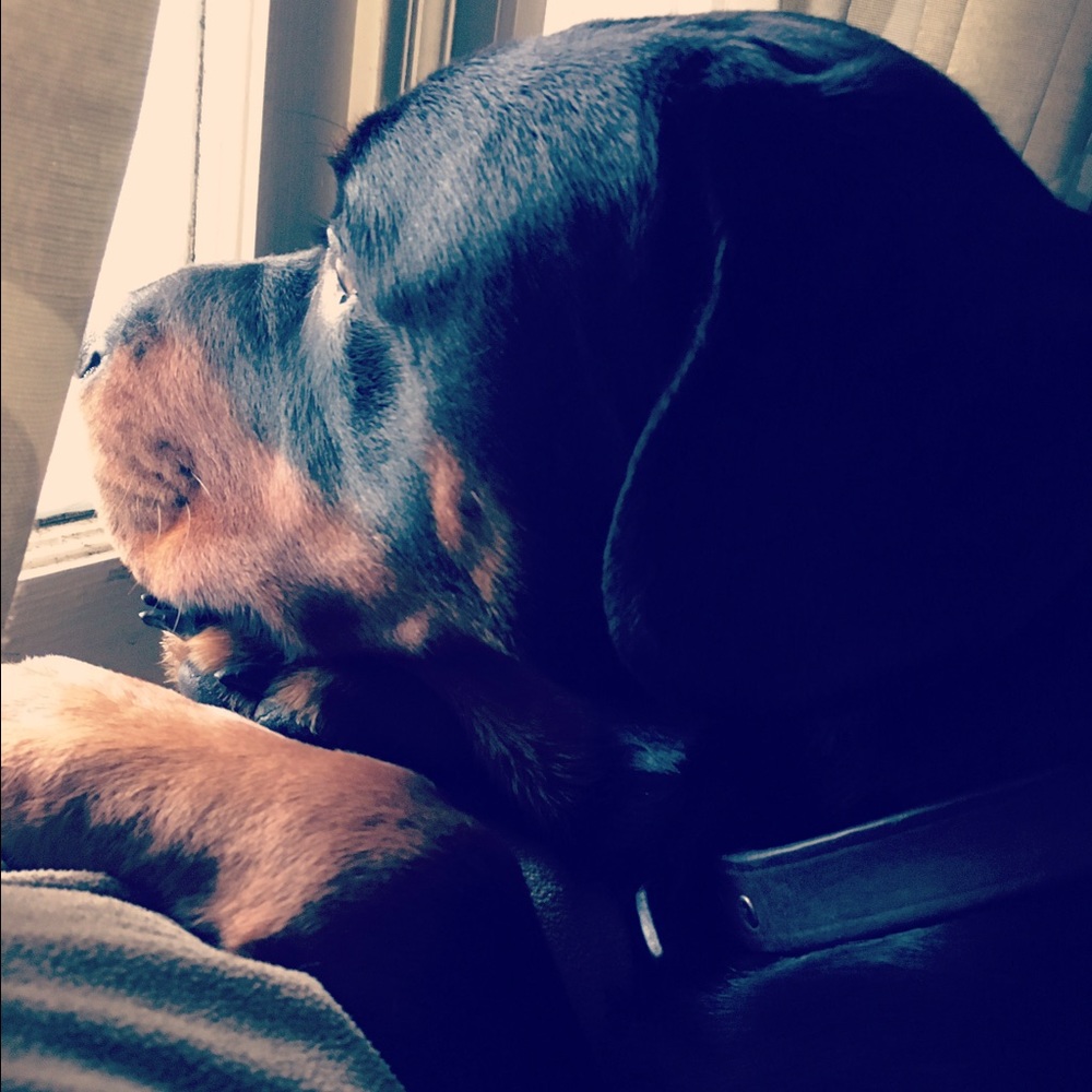 Meet your Posher, Danica