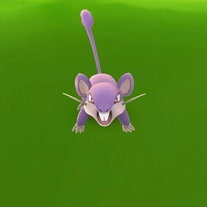 Meet your Posher, Penny