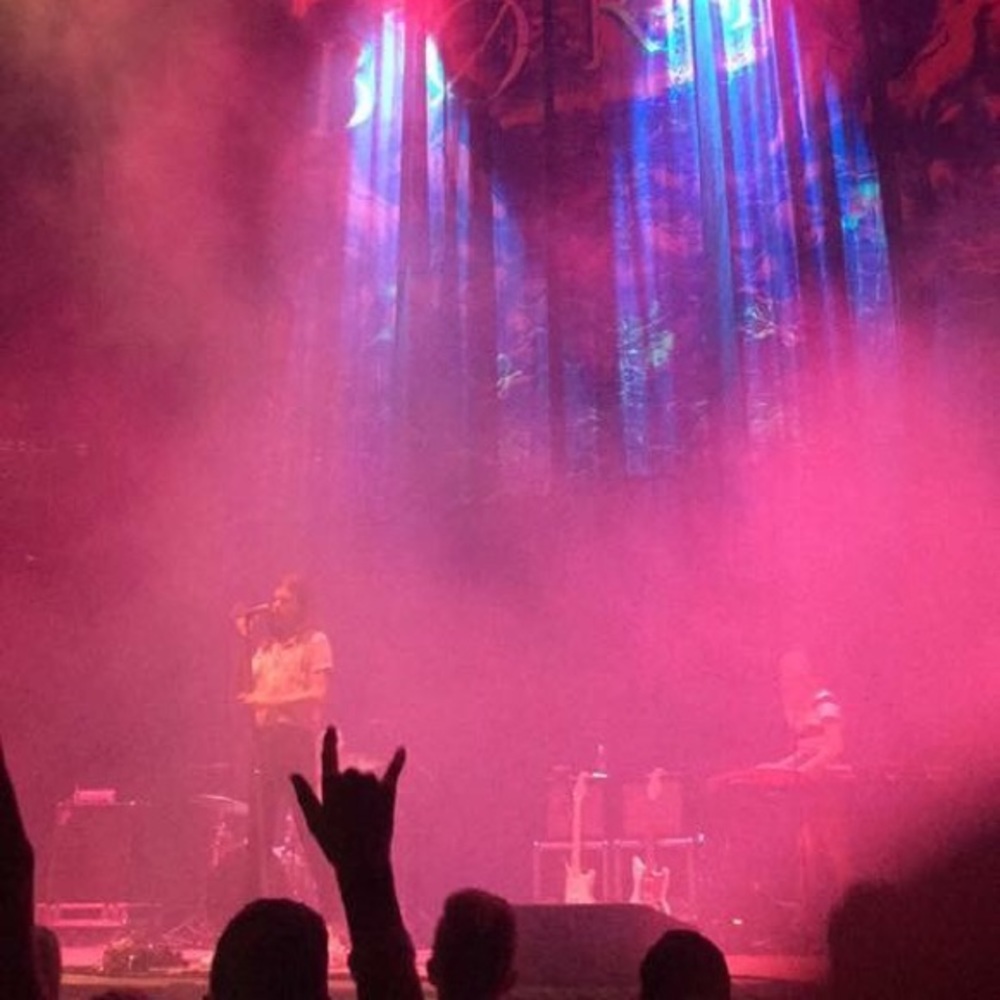 Meet your Posher, Maggie