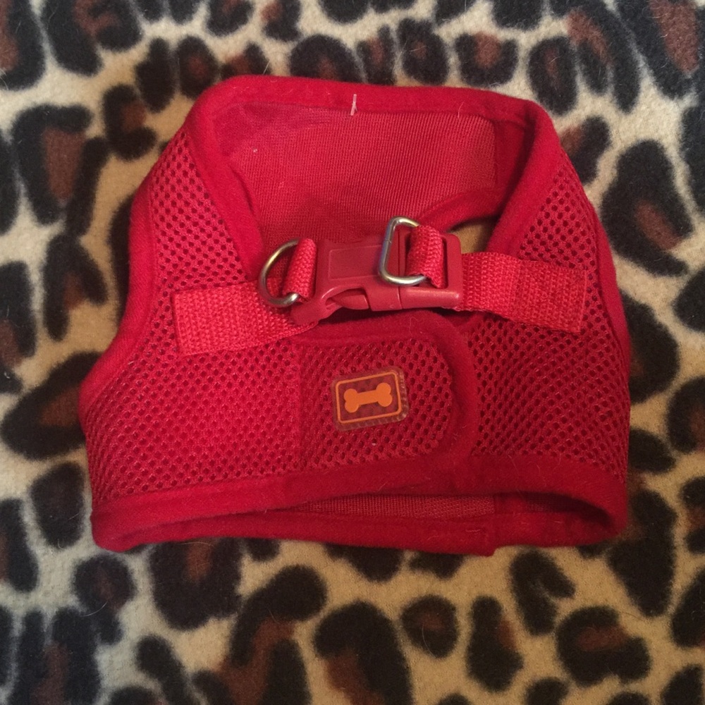 Small dog harness