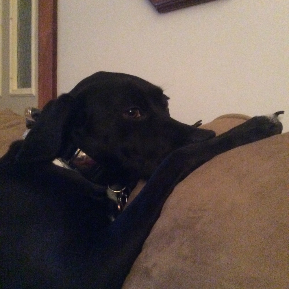 Meet your Posher, Allison