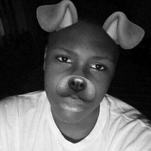 Meet your Posher, Alvin