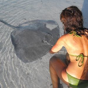 Meet your Posher, Su