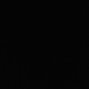 Meet your Posher, Adrian