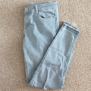 PinStriped Destressed Skinny Jeans