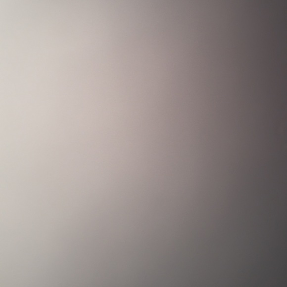 Meet your Posher, Zoey - Picture 1 of 1