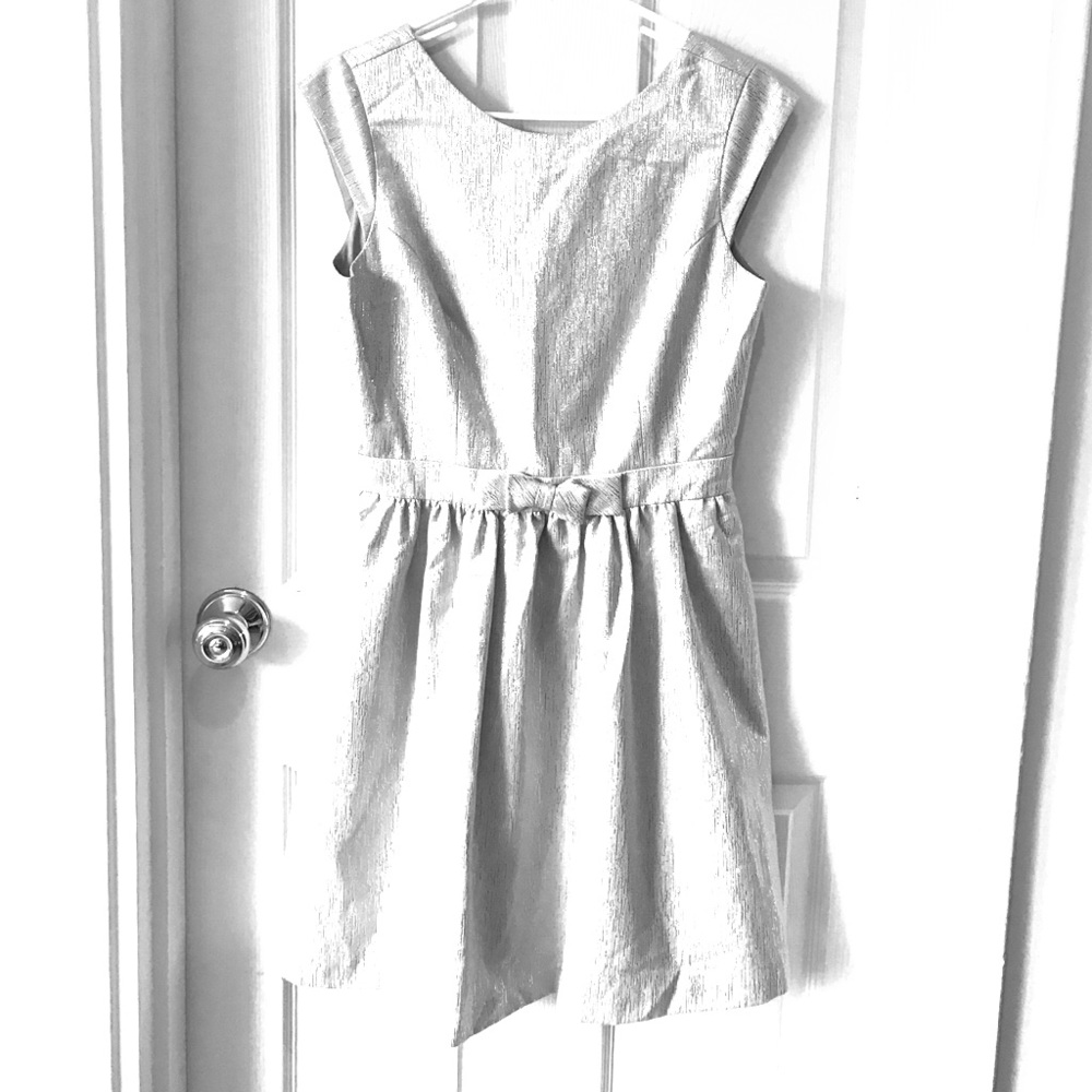 Silver Party Dress