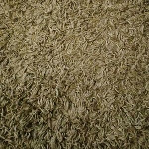 Meet your Posher, Jessenia