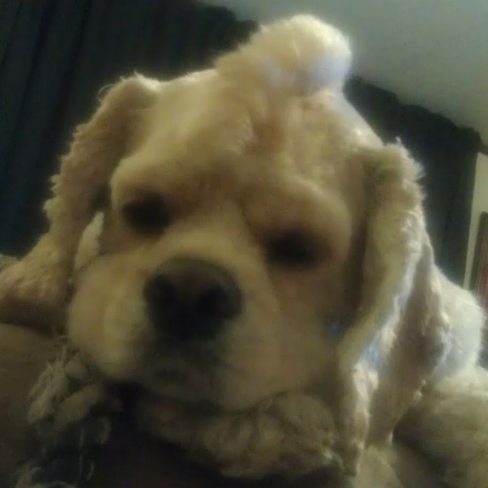 Meet your Posher, Jeff