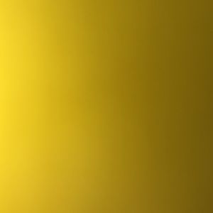 Meet your Posher, Evan