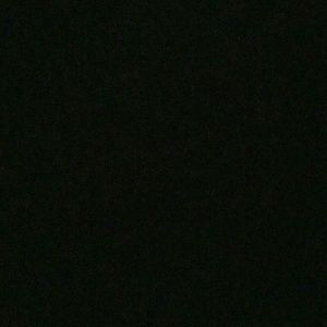 Meet your Posher, Wilfredo