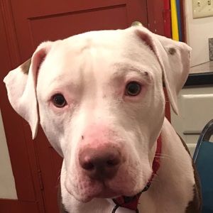 Meet your Posher, Jaime