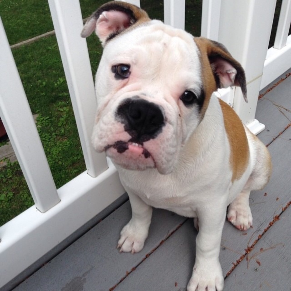 Meet your Posher, Karen