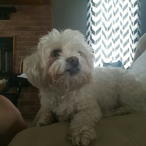 Meet your Posher, Rosa