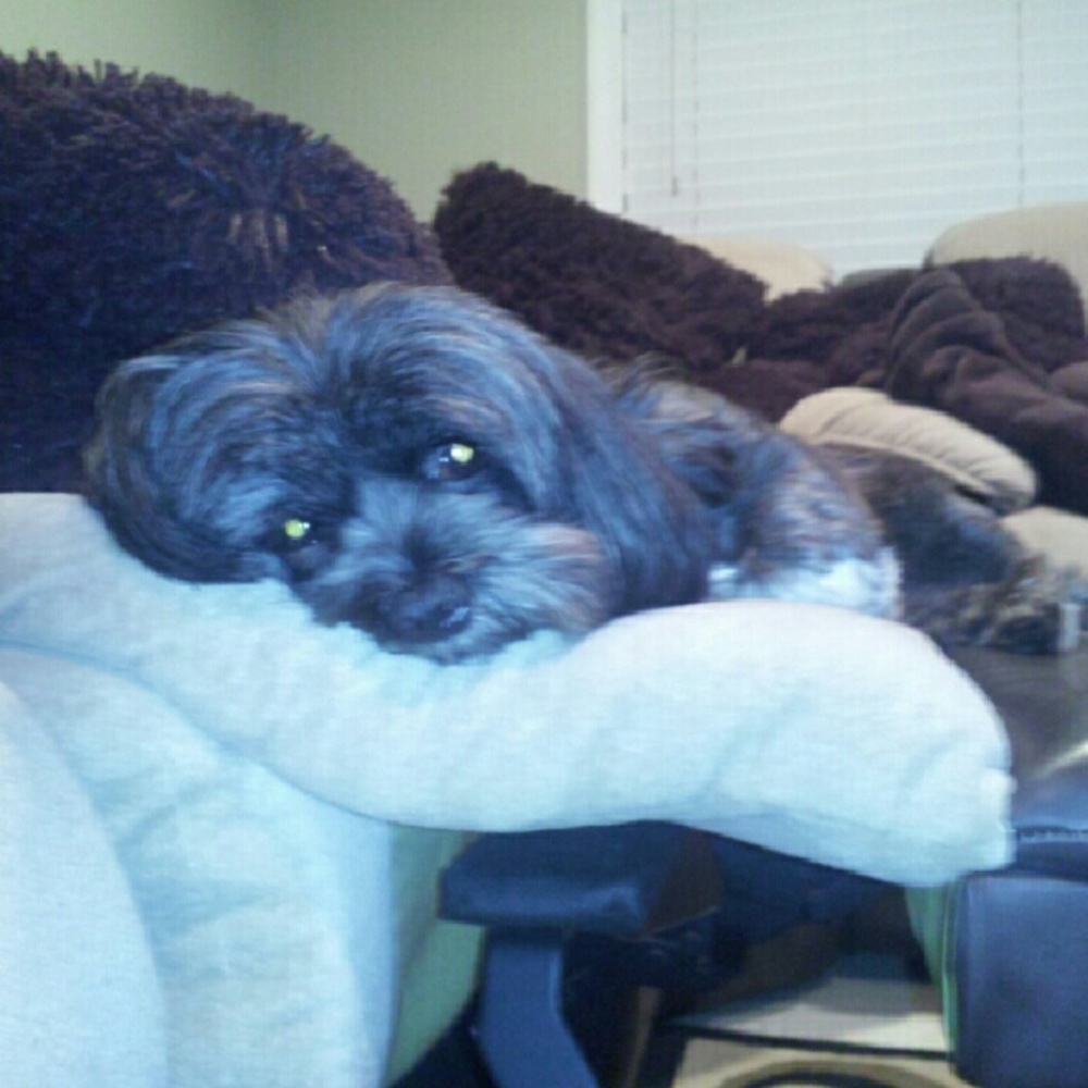 Meet your Posher, Helen