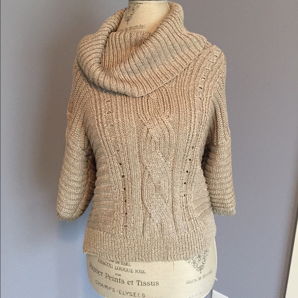 SALE 🌲INC International Concepts Size M Sweater