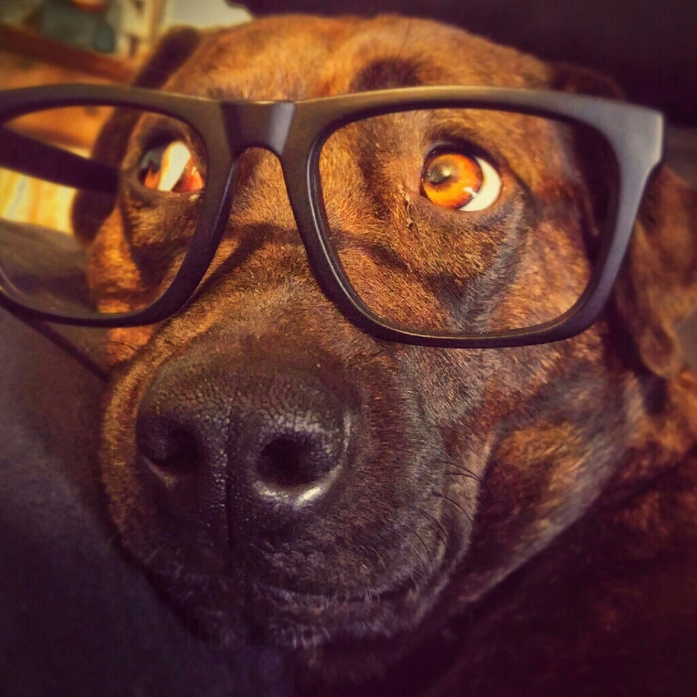 Meet your Posher, Hailey