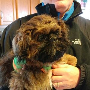 Meet your Posher, Catherine