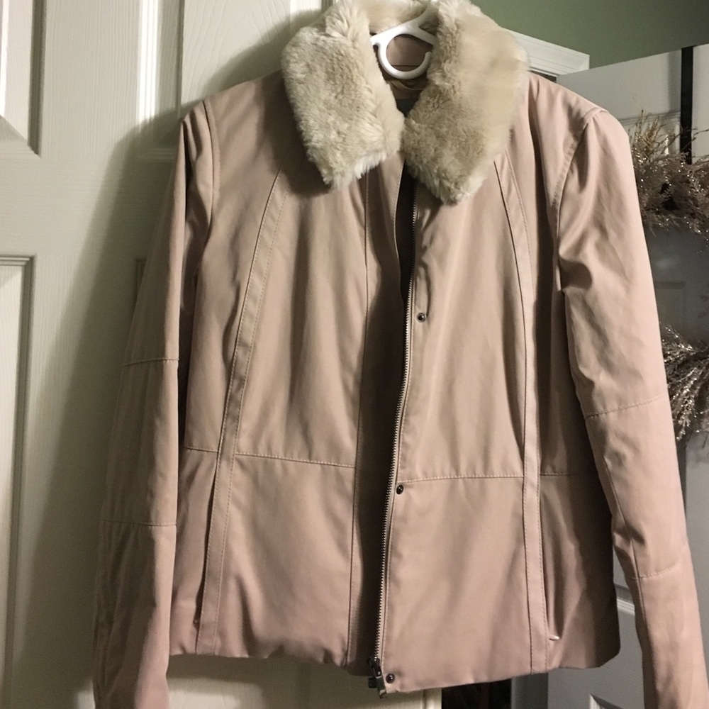 Ann Taylor jacket