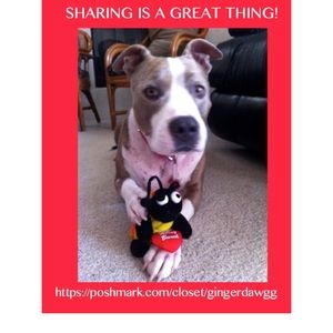 Sharing is caring.  Your success is my success!